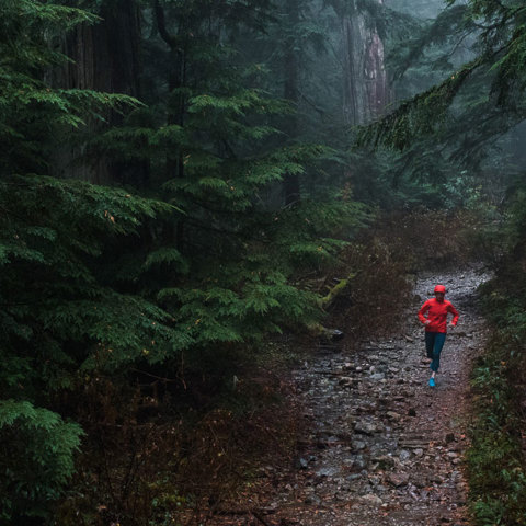 Person running in a misty forest